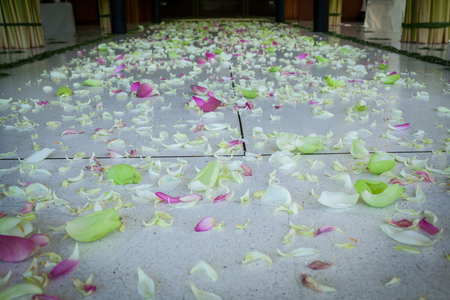 Wedding aisle with flower petals.Wedding at Thailand.の写真素材