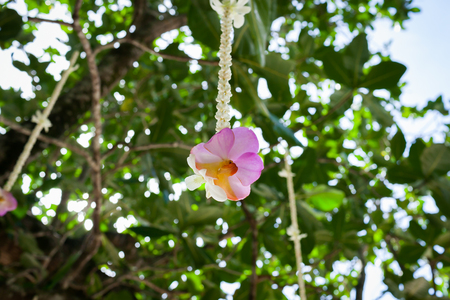 Floral arrangement at a wedding ceremony on beach.の写真素材