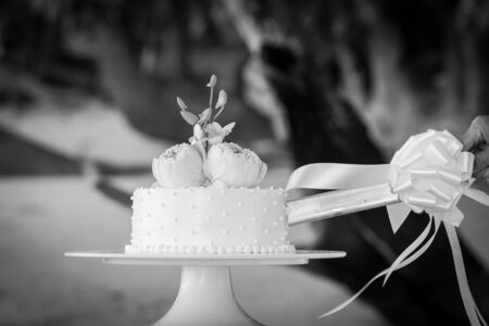 Wedding cutting a wedding cake on wedding day.(Black and white)の写真素材