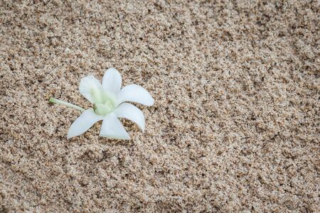 Floral arrangement at a wedding ceremony on beach.の写真素材