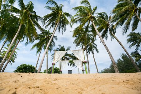 Beautiful wedding arch on the beach with plam tree.の写真素材