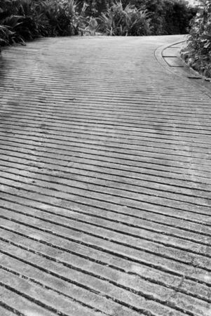 pathway made from cement in tropical garden in Thailand.の写真素材