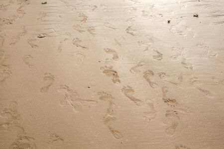Many human footprints on the beach sandの写真素材