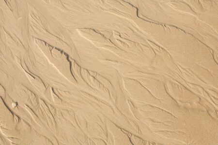 Sand texture. Sandy beach for background. (Selective Focus)の写真素材