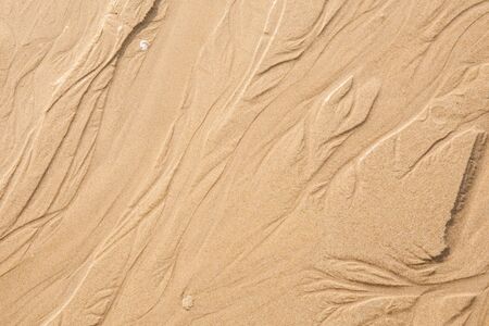 Sand texture. Sandy beach for background. (Selective Focus)の写真素材
