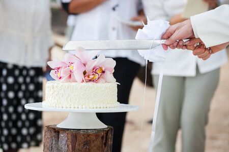 Wedding cutting a wedding cake on wedding day.の写真素材
