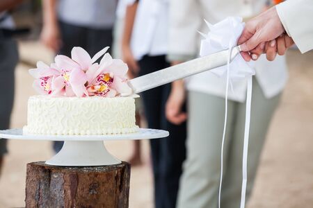 Wedding cutting a wedding cake on wedding day.の写真素材