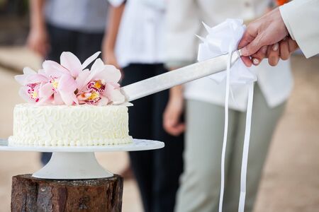 Wedding cutting a wedding cake on wedding day.の写真素材