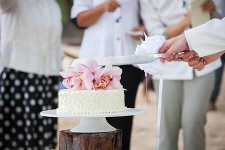 Wedding cutting a wedding cake on wedding day.の写真素材