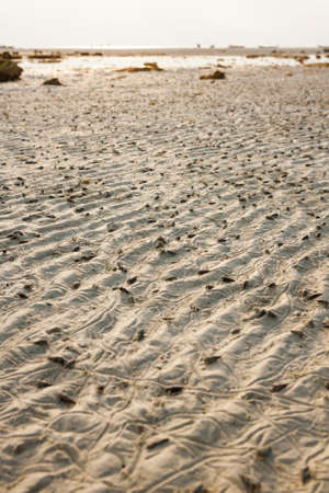 sand texture,beach sand on morning in Thailand.の写真素材