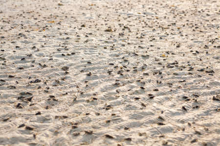 sand texture,beach sand on morning in Thailand.の写真素材