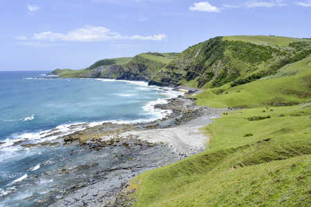 A view of the coast line seen from the green hills on the trail from Coffee Bay at the Indian Ocean...