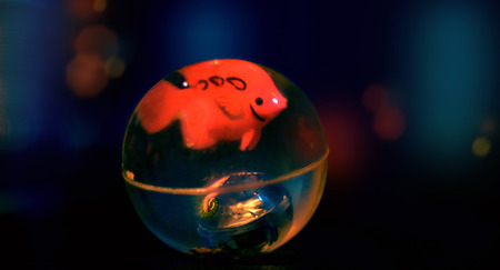 Fish in the ballの写真素材