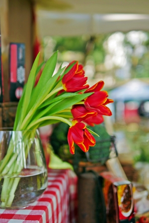 Bouquet of beautiful red tulips in a glass vase with outdoor background. Selective focus.の写真素材