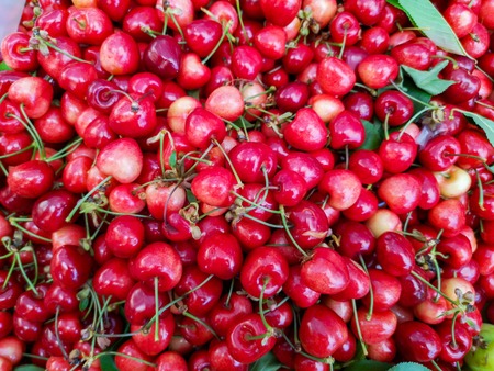 Bright red, ripen and juicy cherries. Rich in Nutrients. Good source of vitamin, antioxidant and...