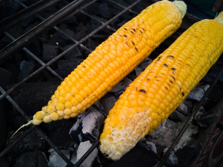Tasty and delicious charcoal grill fresh sweet corn on the cob without husk. Simple yet perfect healthy menu for backyard barbecue party. Rich in Nutrients, vitamins and Dietary Fiber. Natural light.の写真素材