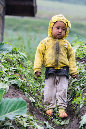 Mt. Bromo, Indonesia. May 21, 2016. A tenggerese child walking down from her family's garden at Cemoro Lawang of Bromo-Tengger-Semeru National Park, a nature reserve since 1919.のeditorial素材