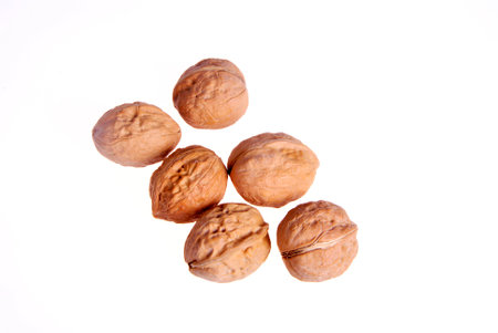 walnut