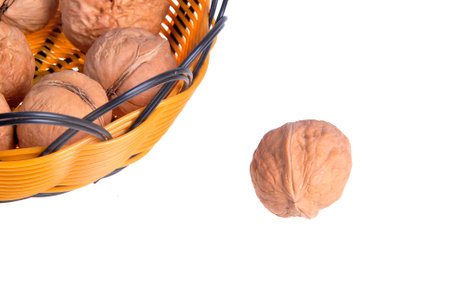 walnutの写真素材