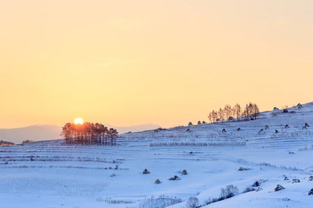 Northern village of Sunriseの写真素材