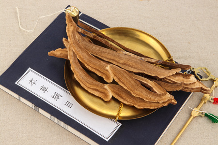 Chinese herbal medicine, Ganoderma lucidumの写真素材
