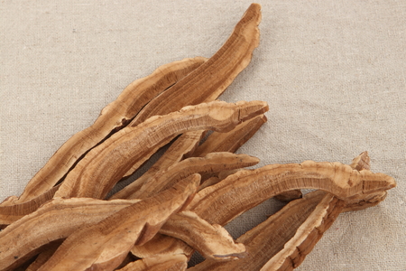 Chinese herbal medicine, Ganoderma lucidumの写真素材