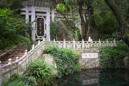 Butterfly Spring landscapeのeditorial素材