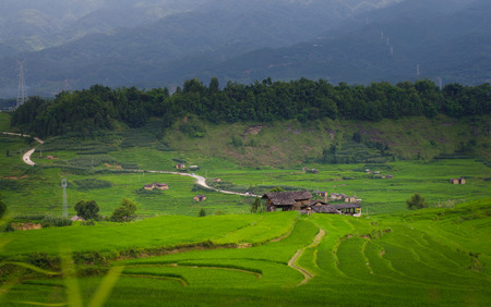 Mountain gardenの写真素材
