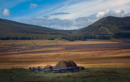 grasslandの写真素材