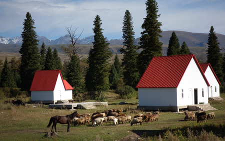 Ranch houseのeditorial素材