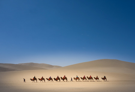 Mingsha camelsのeditorial素材