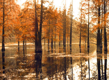 Sanpu Reservoirの写真素材