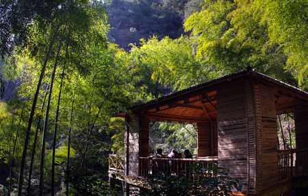 Bamboo wood houseのeditorial素材