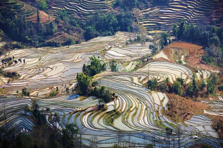 Yuanyang Terraceの写真素材