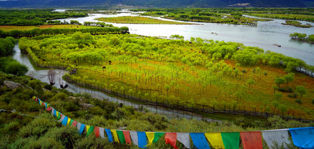Riverside flags