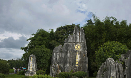 stone forestのeditorial素材