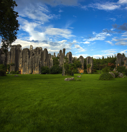 The stone forest landscape
