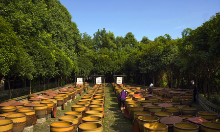 Pixian watercress dryingのeditorial素材