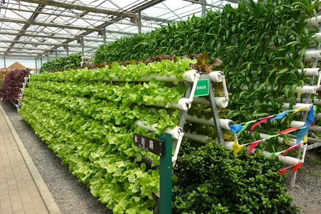 Tube rack vegetablesのeditorial素材