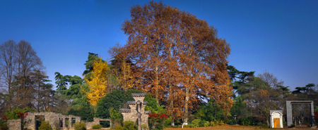 Xuanwu Lake Gardenのeditorial素材