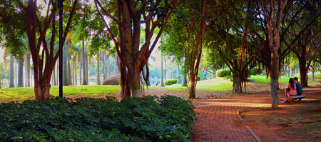 garden at xiamen university