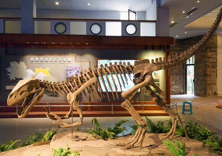 Dinosaur exhibition hallのeditorial素材