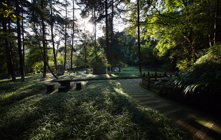 Nostalgia Parkのeditorial素材