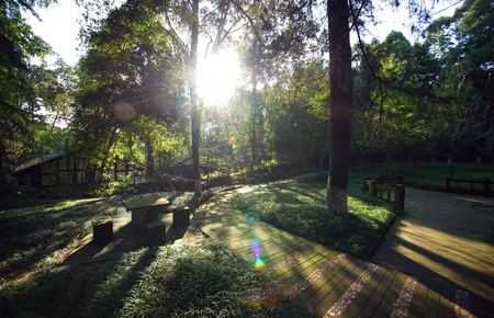 Nostalgia Parkのeditorial素材