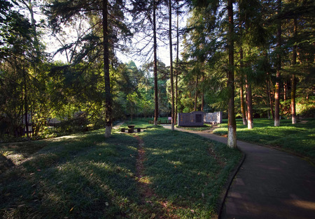 Nostalgia Parkのeditorial素材