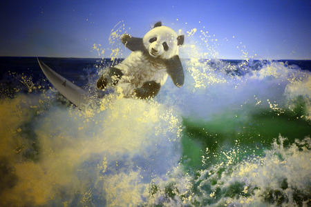 pandaのeditorial素材