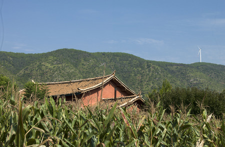 Village residenceの写真素材