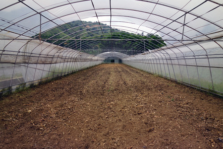 Yi Village greenhouse cultivationのeditorial素材