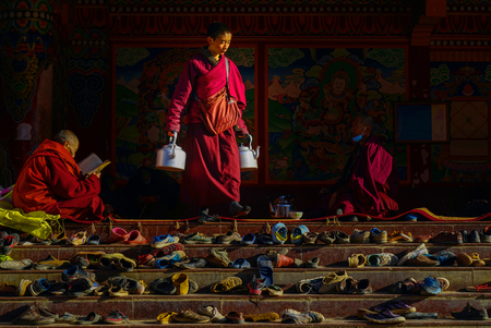 monkのeditorial素材