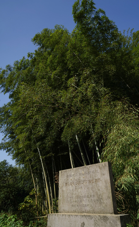 Southern Song Dynasty stone carvingsのeditorial素材